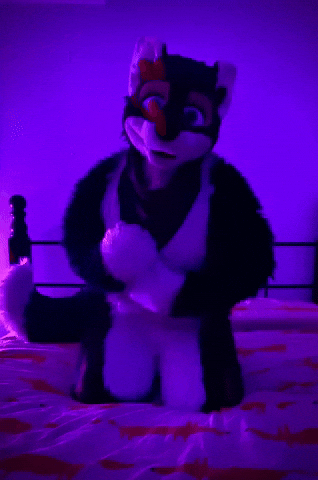 Fox Snuggle GIF