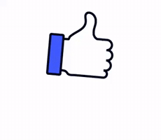Zen Digital Media GIF