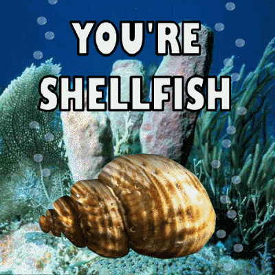 Marine Life Shellfish GIF