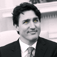 Justin Trudeau Art GIF by xponentialdesign