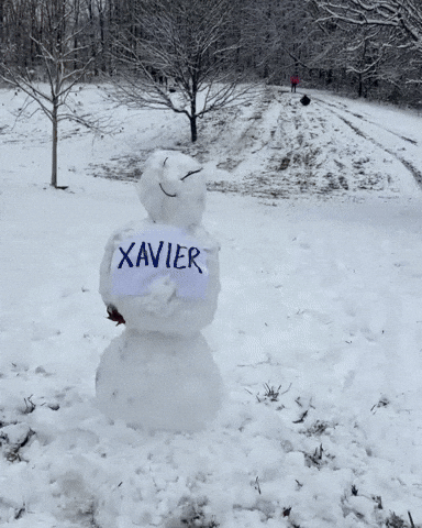 Mascot Cincinnati GIF by Bearcat