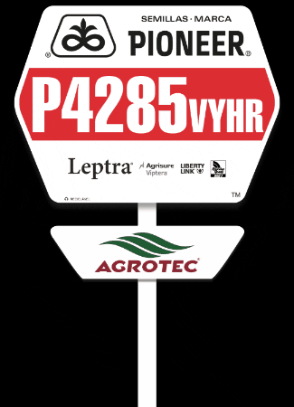 Pioneer Leptra GIF by Agrotec S. A.