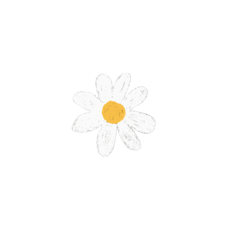 Flower Daisy Sticker