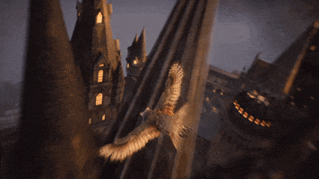 Flying Harry Potter GIF by WBGames