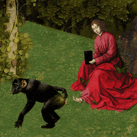 monkey observations GIF by Scorpion Dagger