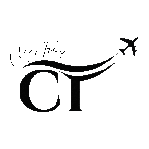 Travel Voyage Sticker by Menoucha Scholte