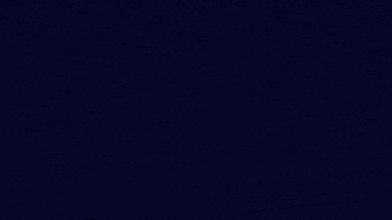 GIF by Nipissing Airsoft