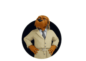 McGruff at NCPC Sticker
