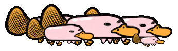 Animated Sticker