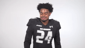 Monarchreign GIF by sgrubbs