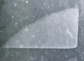 Chronophotography GIF
