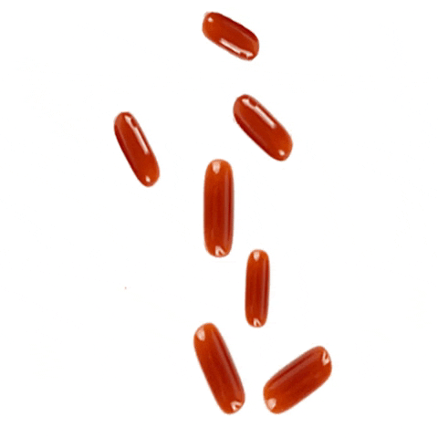 Bend Beauty Belgium GIF