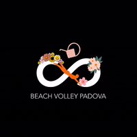 Game Sport GIF by Beach Volley Padova