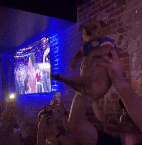 Knicks In 5 GIF
