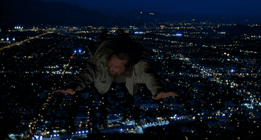 Lebowski GIF