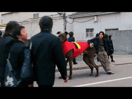 강아지 Tokyodrift GIF