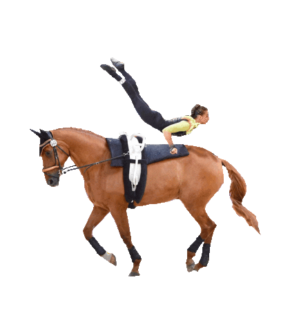 Conradlauren Sticker