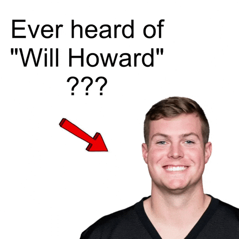 Ohio State Steelers GIF