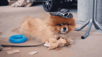 Baby Steps Dog GIF by The Only Way is Essex