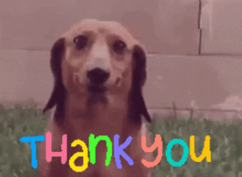 Funny-thank-you GIFs - Get the best GIF on GIPHY