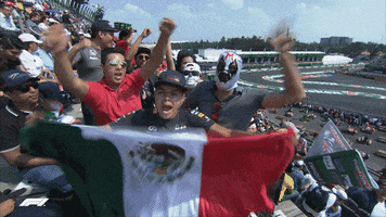 Happy Mexico Grand Prix GIF by Formula 1