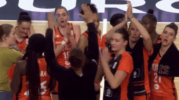 Basketball Applause GIF by Tango Bourges Basket