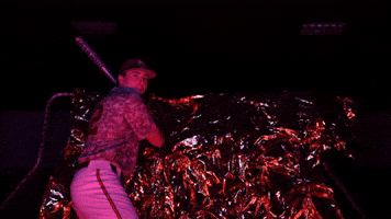 Baseball Juco GIF by Pearl River Athletics