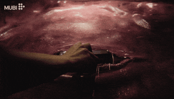 Gillian Anderson Horror GIF by MUBI