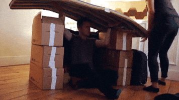 Packing Boxes GIFs - Find & Share on GIPHY