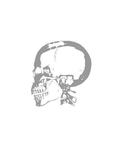 Sticker by Drop Wind