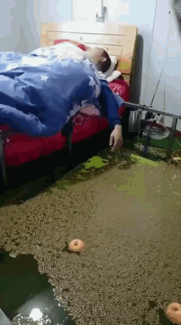 Watermelon Sleeping GIF