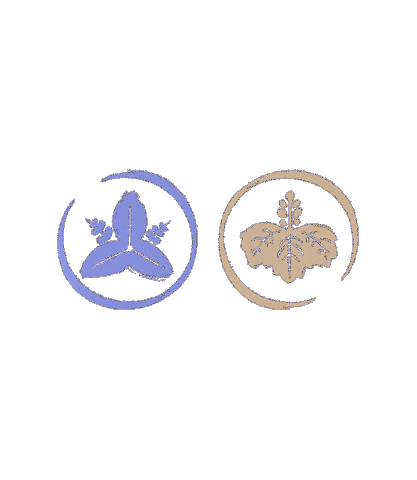 Devir Italia Sticker