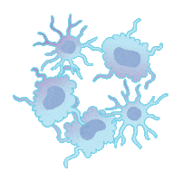 Trade Show Jax Sticker by The Jackson Laboratory