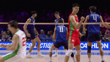 Vnl Yes GIF