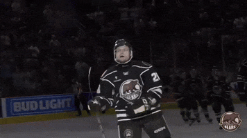 Lets Go GIF by Hershey Bears