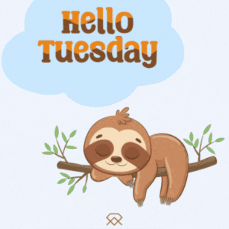 Tuesday Hello GIF by MSD Online Shop
