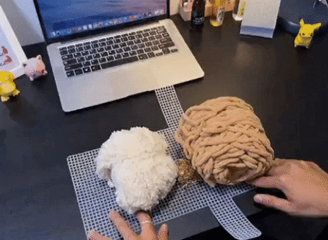 Animated GIF