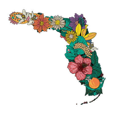 United States Florida Sticker