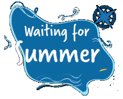 Happy Summer Sticker by Travelmar