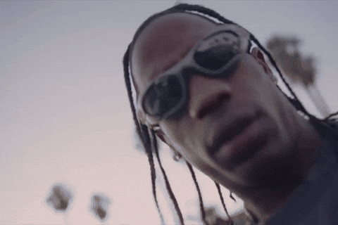 Travis Scott's Birds in the Trap Sing McKnight and Pet: Singing Souls in Traps