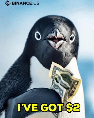 Crypto Penguin GIF by Binance.US