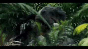 kierrabingham  GIF