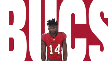 Lets Go Touchdown GIF by Tampa Bay Buccaneers