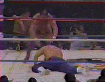 Wwe GIF