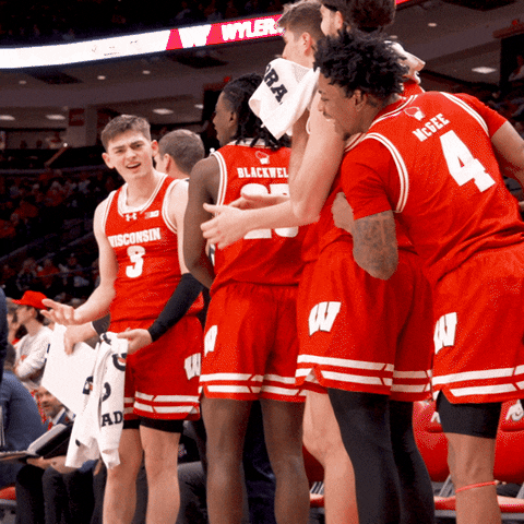 College Sports What GIF by Wisconsin Badgers