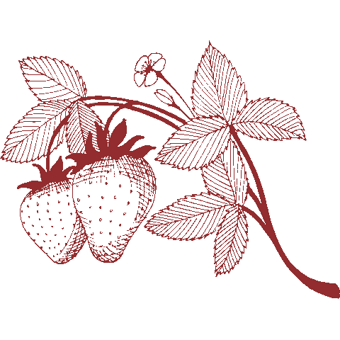 Peach State Pride Sticker