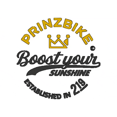 GIF by Prinzbike