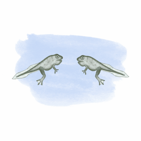 DoodleTheScience GIF