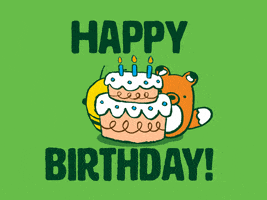 Happy Birthday Party GIF by The Woobles