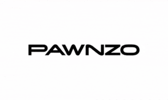 pawnizo GIF